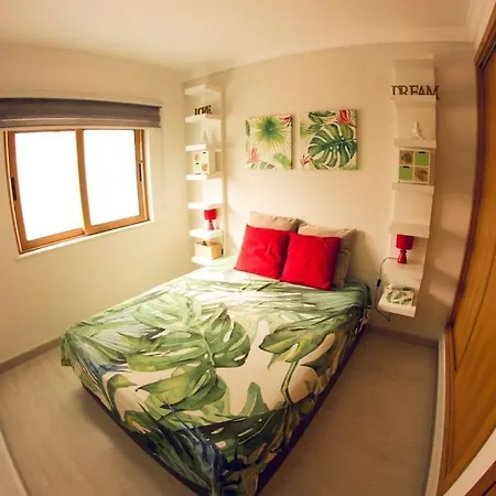 Cozy Nest Apartmán Campina de Cima